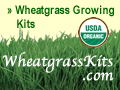 wheatgrass growing kits wheatgrass growing kits